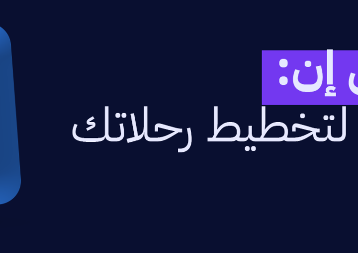 فلاي إن